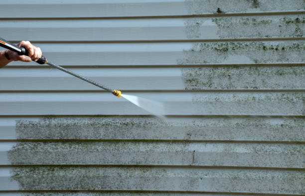 Local Pressure Washing Services in Woodville, OH