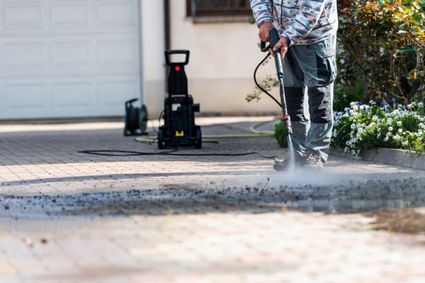 Best Roof Pressure Washing  in Woodville, OH