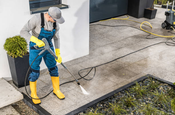 Best Local Pressure Washing Services  in Woodville, OH