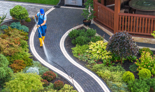 Best Pressure Washing Near Me  in Woodville, OH