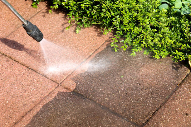 Best Commercial Building Pressure Washing  in Woodville, OH