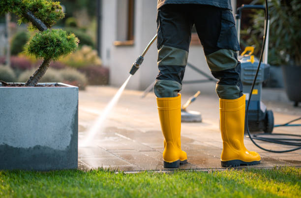 Best Pressure Washing Siding  in Woodville, OH